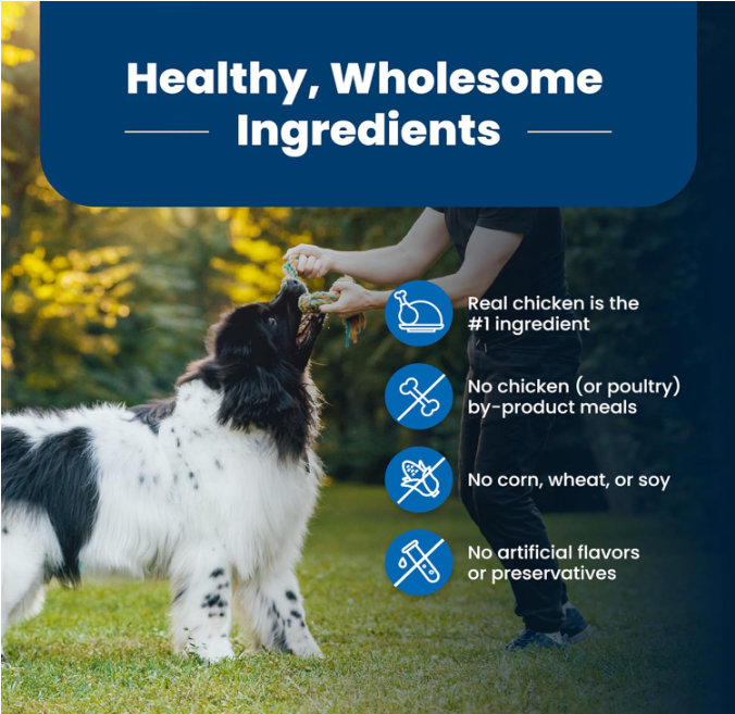 A dog eating a treat Description automatically generated with medium confidence