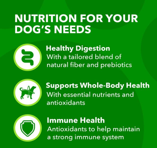 A green and white poster with text and icons Description automatically generated