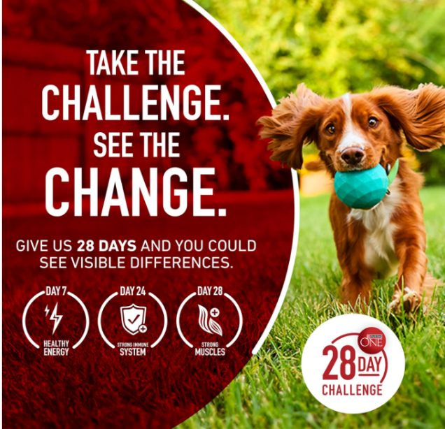 Purina ONE Dry Dog Food Lamb and Rice Formula Features